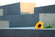 Blumen Geidies - GALLERY