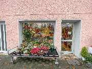 Blumen Gögelein - GALLERY