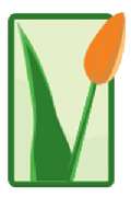 Blumen Hamm - 1