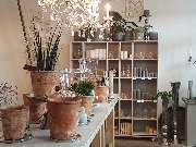 Blumen Hauke - GALLERY