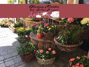 Blumen Heider Inh. Zellner Susanne - 1
