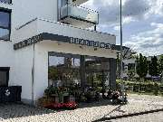 Blumen Hertweck - GALLERY