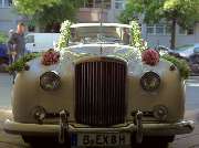 Blumen Hetzer - 10