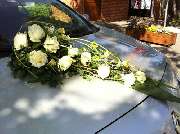 Blumen Hetzer - 11