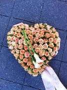 Blumen Hetzer - 3