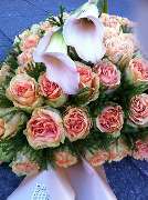 Blumen Hetzer - 4