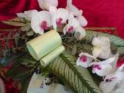 Blumen Hetzer - 6