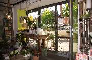 Blumen-Holm - GALLERY