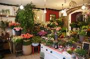Blumen-Holm - GALLERY