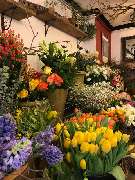 Blumen-Holm - GALLERY