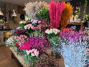 Blumen Interfleur Floristik & Wohnaccessoires - GALLERY