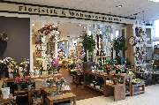 Blumen Interfleur Floristik & Wohnaccessoires - GALLERY
