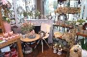 Blumen Interfleur Floristik & Wohnaccessoires - GALLERY