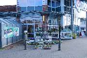 Blumen Interfleur Floristik & Wohnaccessoires - GALLERY