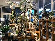 Blumen Interfleur Floristik & Wohnaccessoires - GALLERY