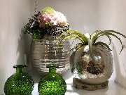 Blumen Interfleur Floristik & Wohnaccessoires - GALLERY
