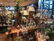 Blumen Interfleur Floristik & Wohnaccessoires - GALLERY