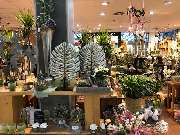 Blumen Interfleur Floristik & Wohnaccessoires - GALLERY