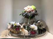 Blumen Interfleur Floristik & Wohnaccessoires - GALLERY
