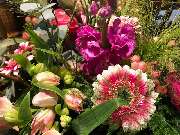 Blumen Interfleur Floristik & Wohnaccessoires - GALLERY