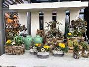 Blumen Interfleur Floristik & Wohnaccessoires - GALLERY