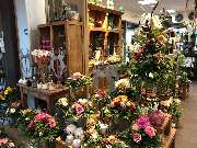 Blumen Interfleur Floristik & Wohnaccessoires - GALLERY