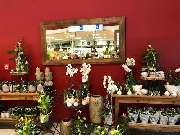 Blumen Interfleur Floristik & Wohnaccessoires - GALLERY