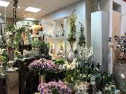 Blumen Interfleur Floristik & Wohnaccessoires - GALLERY