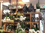 Blumen Interfleur Floristik & Wohnaccessoires - GALLERY