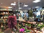 Blumen Interfleur Floristik & Wohnaccessoires - GALLERY
