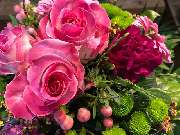 Blumen Interfleur Floristik & Wohnaccessoires - GALLERY
