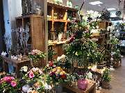Blumen Interfleur Floristik & Wohnaccessoires - GALLERY