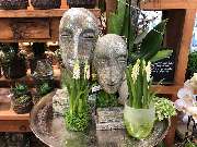 Blumen Interfleur Floristik & Wohnaccessoires - GALLERY