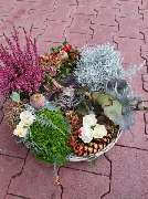 Blumen Interfleur Floristik & Wohnaccessoires - GALLERY