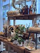 Blumen Interfleur Floristik & Wohnaccessoires Happy Flowers by Natalia - GALLERY