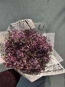 Blumen Interfleur Floristik & Wohnaccessoires Happy Flowers by Natalia - GALLERY