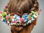 Blumen Kaimer - GALLERY