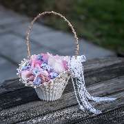 Blumen Kaimer - GALLERY