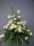 Blumen Kaimer - GALLERY