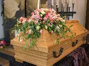 Blumen Kaimer - GALLERY