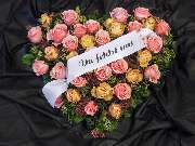 Blumen Kaimer - GALLERY