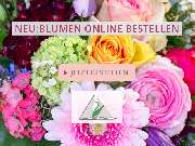 Blumen Kaimer - GALLERY