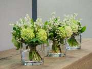 Blumen Kaimer - GALLERY