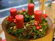 Blumen Kaimer - GALLERY