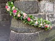 Blumen Kaimer - GALLERY