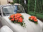 Blumen Kaimer - GALLERY