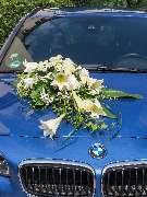 Blumen Kaimer - GALLERY