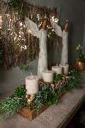 Blumen Kaimer - GALLERY