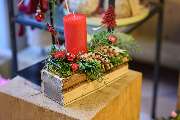 Blumen Kaimer - GALLERY