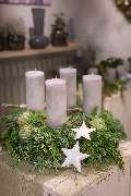 Blumen Kaimer - GALLERY